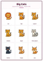 Big Cats: A4 Matte Laminated Educational Poster Print - 210x297mm