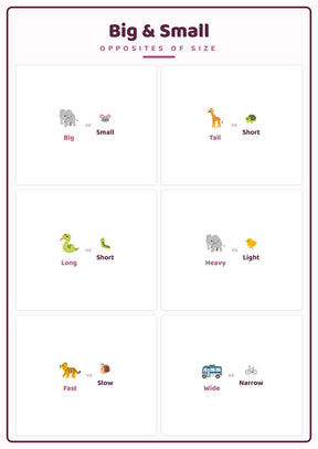 Big & Small: A4 Matte Laminated Educational Poster Print - 210x297mm