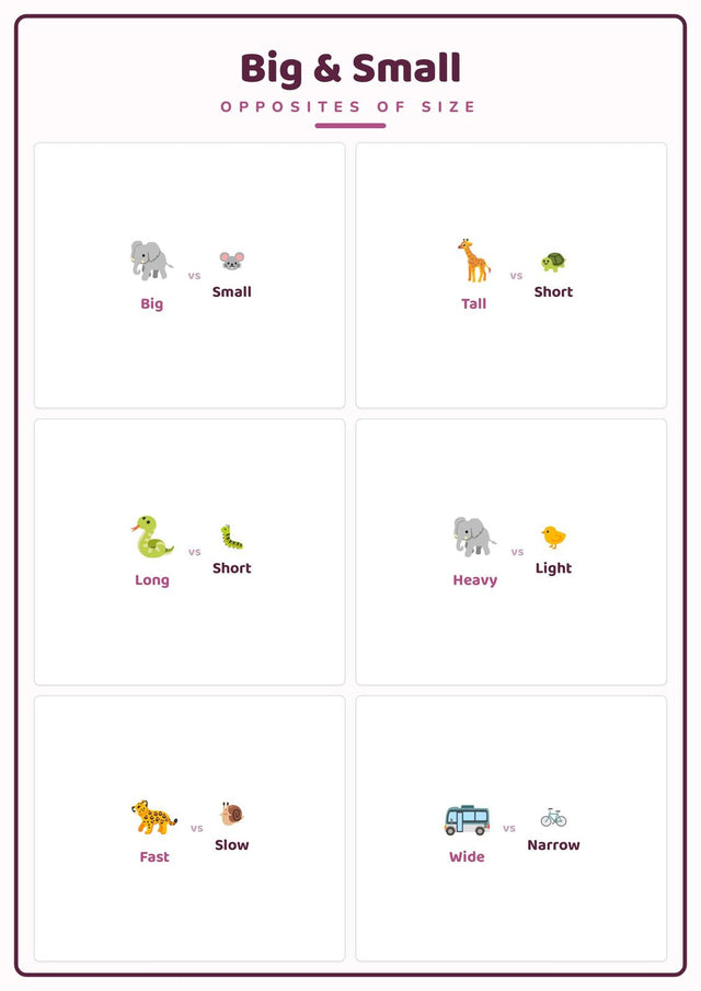 Big & Small: A4 Matte Laminated Educational Poster Print - 210x297mm