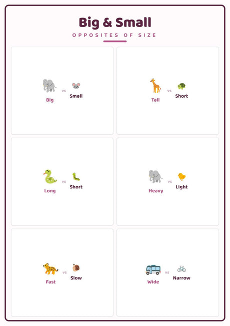 5-Pack Toddler First Concepts Educational Posters Set - A4 Matte Laminated Prints (210x297mm)