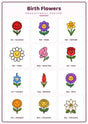 Birth Flowers: A4 Matte Laminated Educational Poster Print - 210x297mm