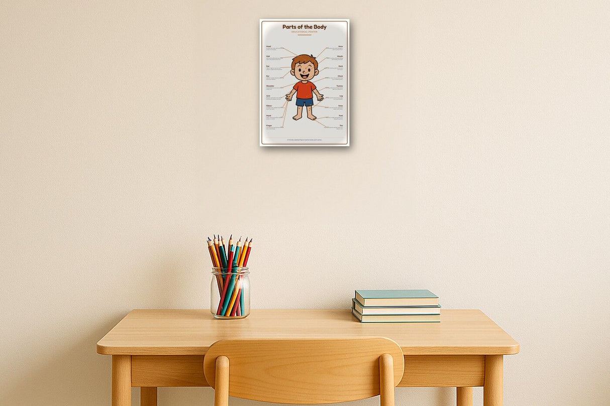 Parts of the Body: A4 Matte Laminated Educational Poster Print - 210x297mm