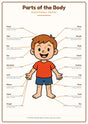 Parts of the Body: A4 Matte Laminated Educational Poster Print - 210x297mm
