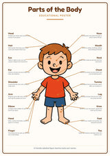 Parts of the Body: A4 Matte Laminated Educational Poster Print - 210x297mm