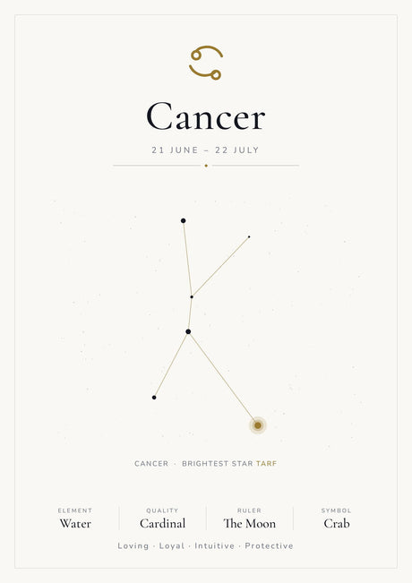 12-Pack Zodiac Constellations Educational Posters Set - White A4 Matte Laminated Prints (210x297mm)