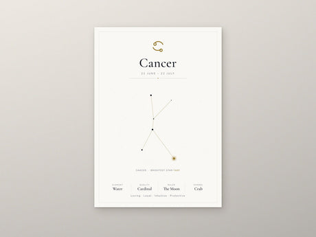 12-Pack Zodiac Constellations Educational Posters Set - White A4 Matte Laminated Prints (210x297mm)