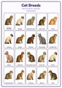 Cat Breeds: A4 Matte Laminated Educational Poster Print - 210x297mm