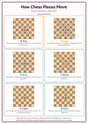 How Chess Pieces Move: A4 Matte Laminated Educational Poster Print - 210x297mm