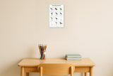 Birds of the Cook Islands: A4 Matte Laminated Educational Poster Print - 210x297mm