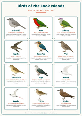 Birds of the Cook Islands: A4 Matte Laminated Educational Poster Print - 210x297mm