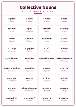Collective Nouns: A4 Matte Laminated Educational Poster Print - 210x297mm