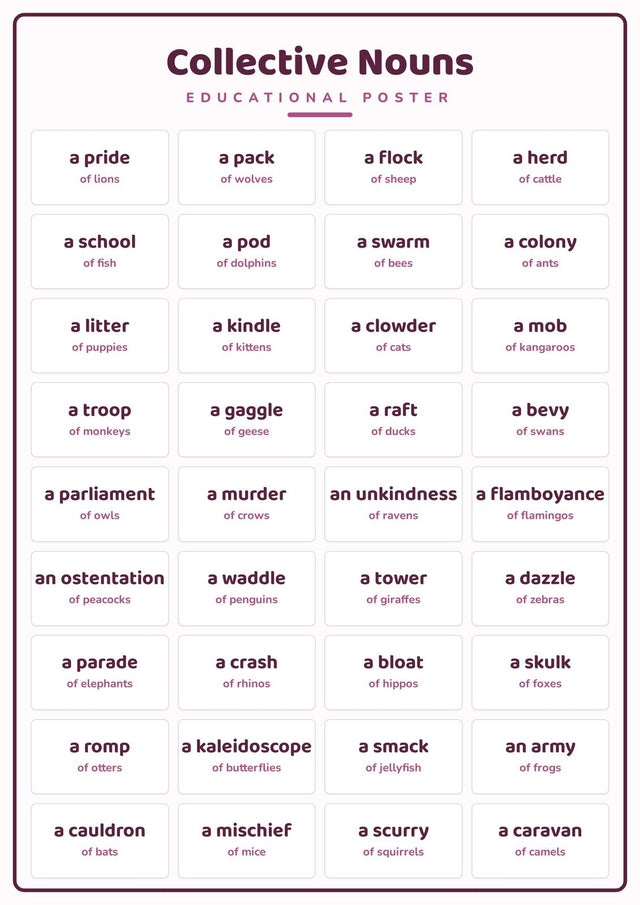 Collective Nouns: A4 Matte Laminated Educational Poster Print - 210x297mm