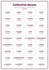 Collective Nouns: A4 Matte Laminated Educational Poster Print - 210x297mm