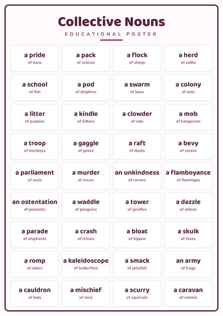 4-Pack Writing & Vocabulary Educational Posters Set - A4 Matte Laminated Prints (210x297mm)