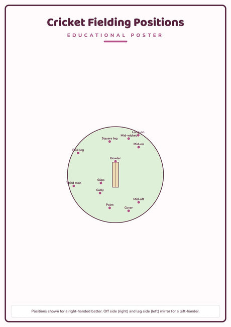 Cricket Fielding Positions: A4 Matte Laminated Educational Poster Print - 210x297mm