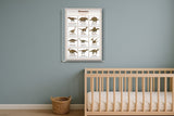 Dinosaurs: A4 Matte Laminated Educational Poster Print - 210x297mm