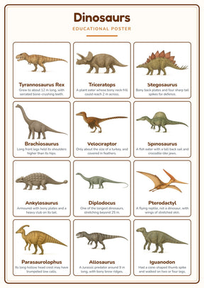 Dinosaurs: A4 Matte Laminated Educational Poster Print - 210x297mm