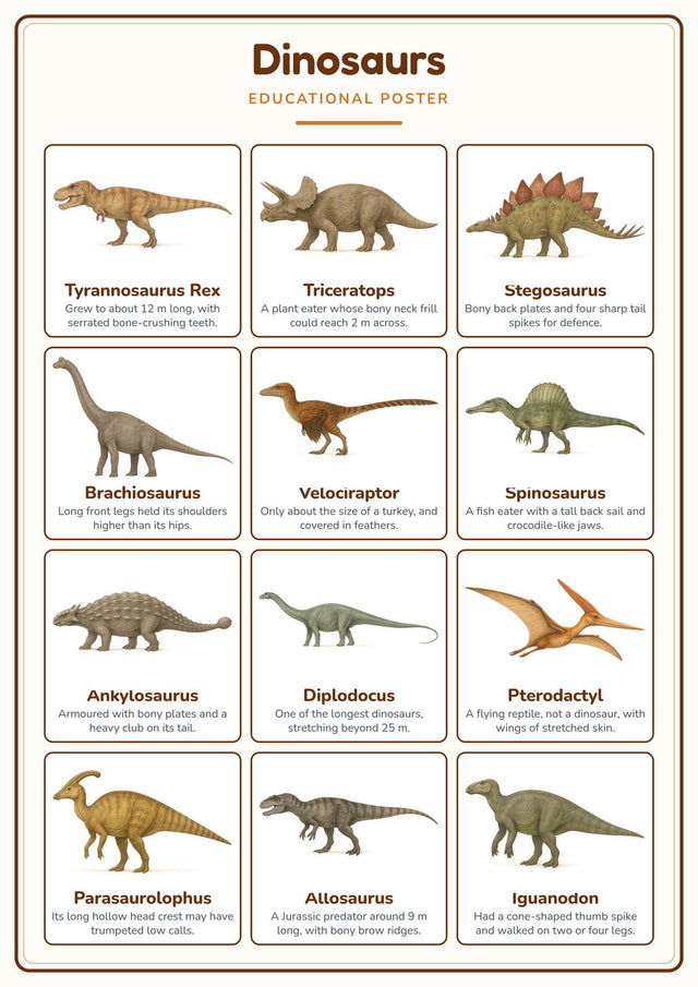Dinosaurs: A4 Matte Laminated Educational Poster Print - 210x297mm