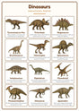 Dinosaurs: A4 Matte Laminated Educational Poster Print - 210x297mm