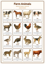 Farm Animals: A4 Matte Laminated Educational Poster Print - 210x297mm