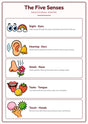 The Five Senses: A4 Matte Laminated Educational Poster Print - 210x297mm