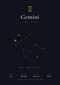 Gemini Zodiac Black