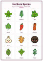 Herbs & Spices: A4 Matte Laminated Educational Poster Print - 210x297mm