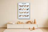 Horse Breeds: A4 Matte Laminated Educational Poster Print - 210x297mm