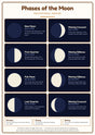 Phases of the Moon: A4 Matte Laminated Educational Poster Print - 210x297mm