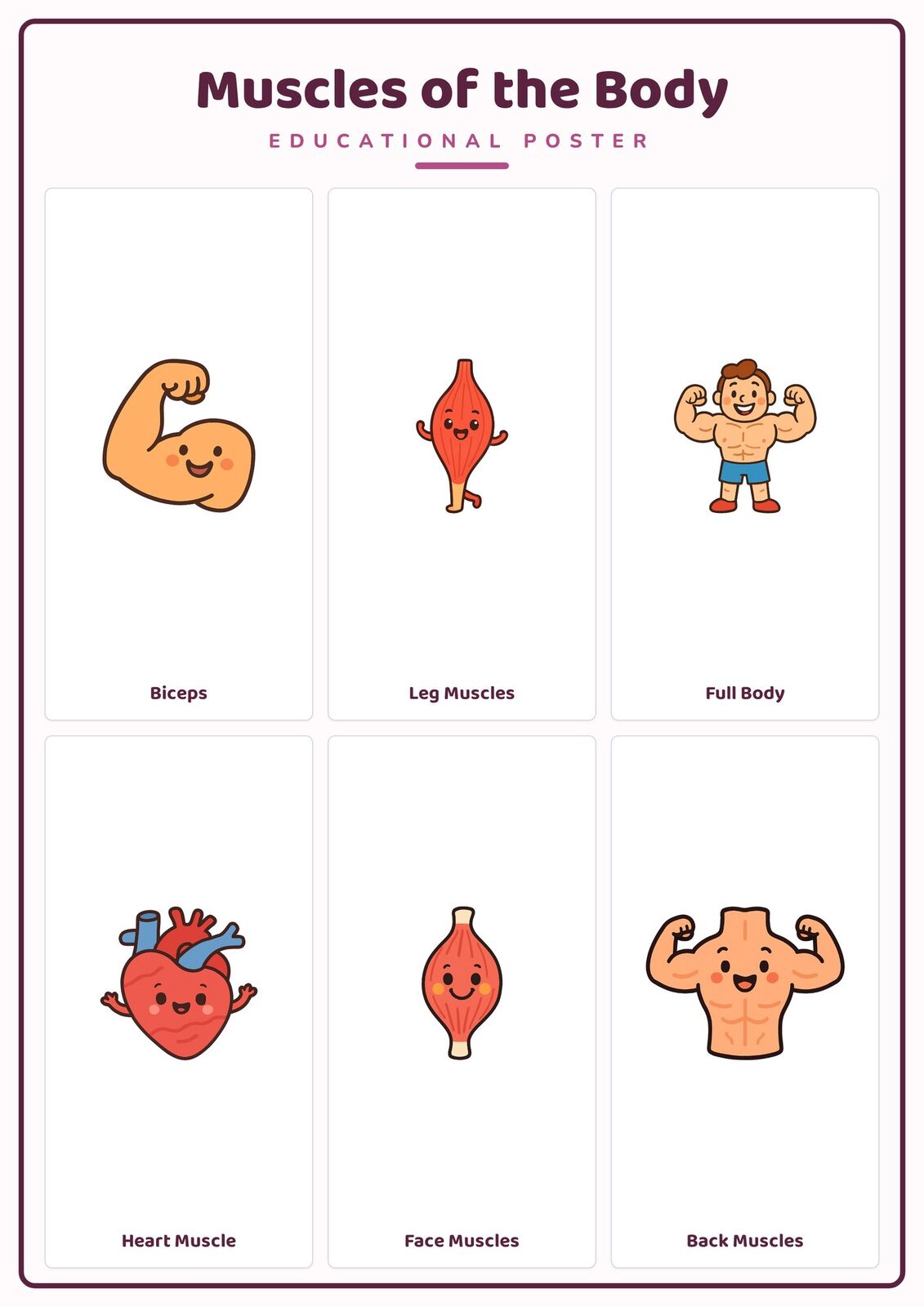 Muscles of the Body: A4 Matte Laminated Educational Poster Print - 210x297mm