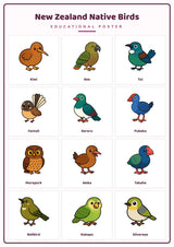 New Zealand Native Birds: A4 Matte Laminated Educational Poster Print - 210x297mm