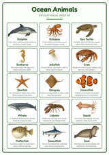 Ocean Animals: A4 Matte Laminated Educational Poster Print - 210x297mm