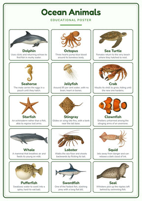 Ocean Animals: A4 Matte Laminated Educational Poster Print - 210x297mm