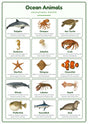 Ocean Animals: A4 Matte Laminated Educational Poster Print - 210x297mm