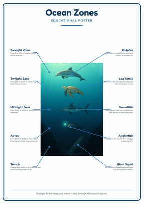 Ocean Zones: A4 Matte Laminated Educational Poster Print - 210x297mm