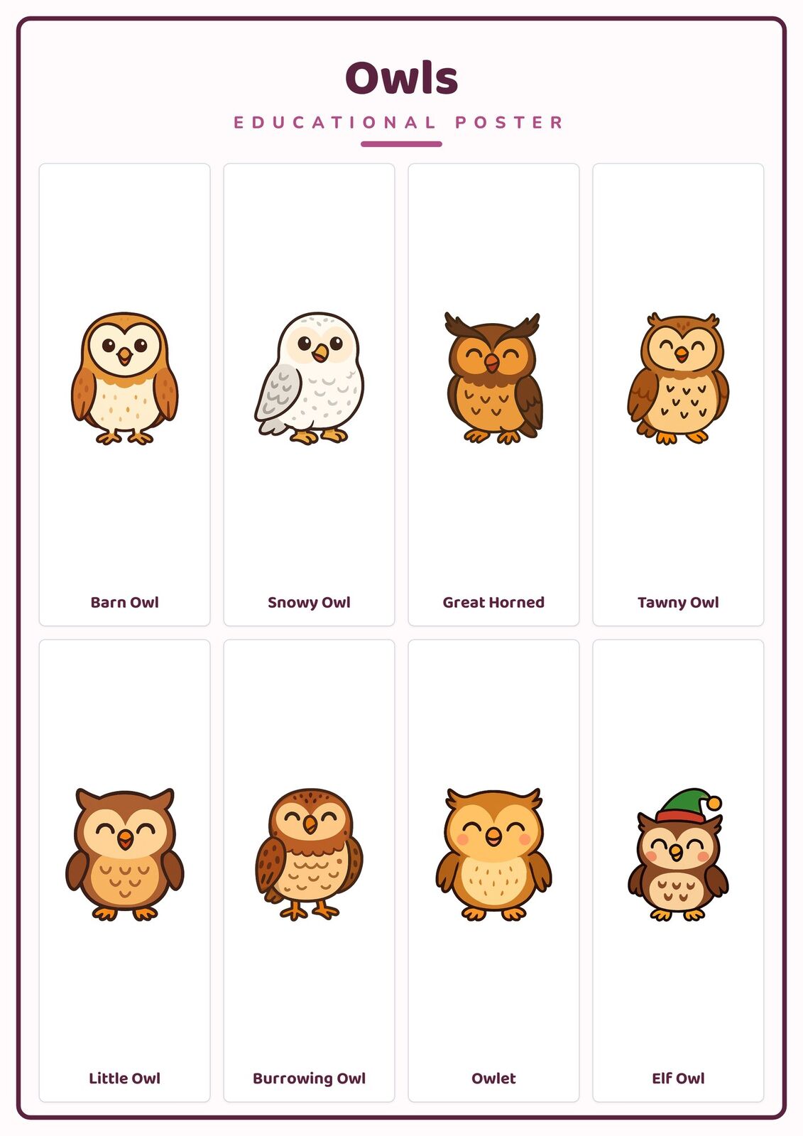 Owls: A4 Matte Laminated Educational Poster Print - 210x297mm