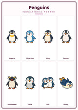 Penguins: A4 Matte Laminated Educational Poster Print - 210x297mm