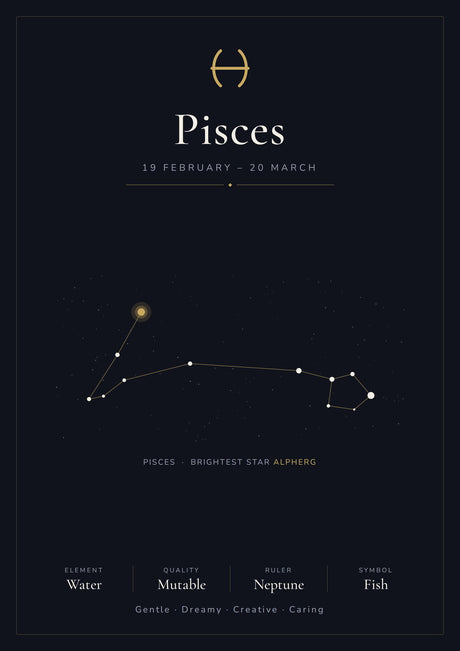 Pisces Zodiac Constellation Black: A4 Matte Laminated Educational Poster Print - 210x297mm