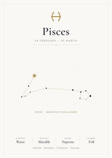 Pisces Zodiac Constellation White: A4 Matte Laminated Educational Poster Print - 210x297mm