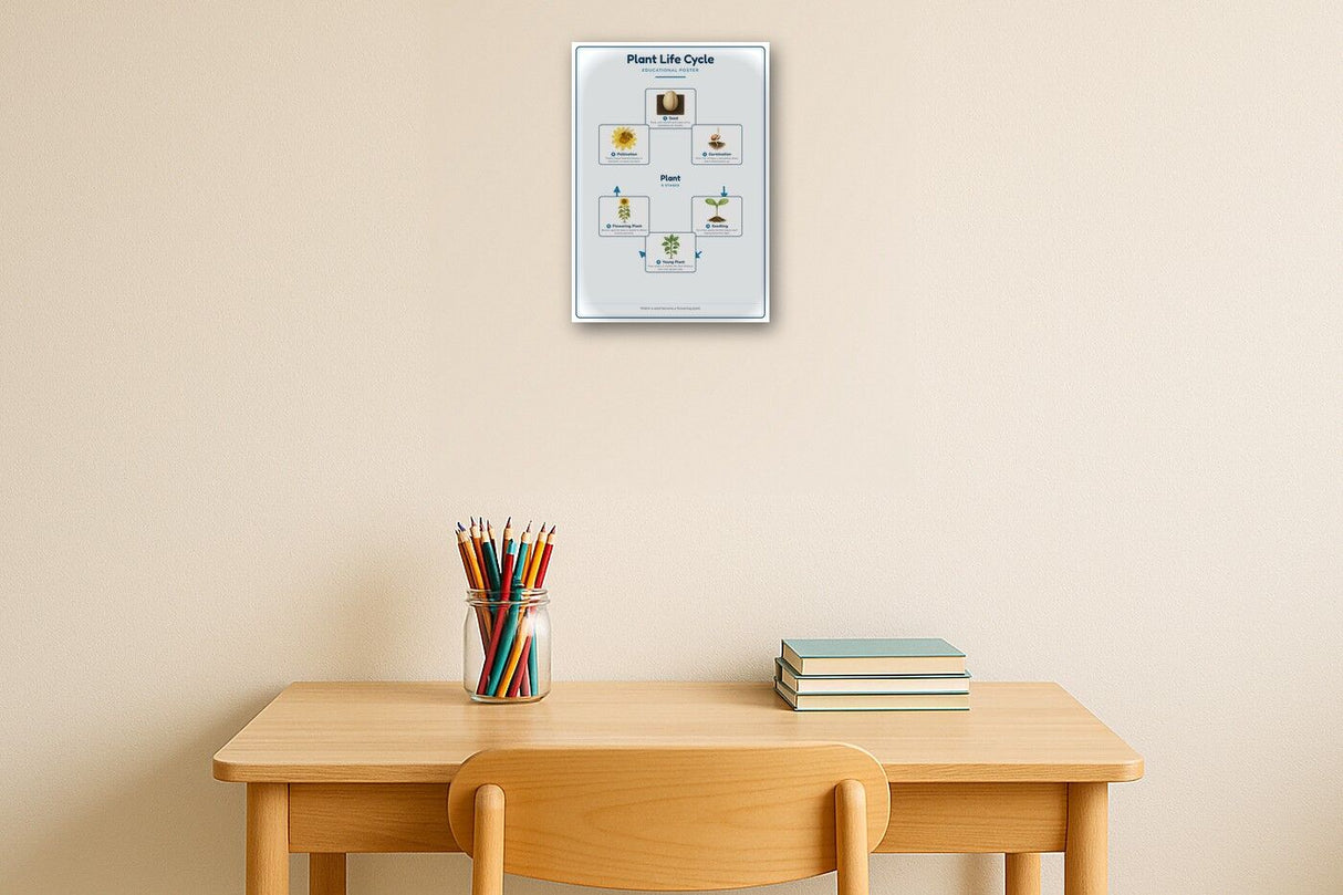 Plant Life Cycle: A4 Matte Laminated Educational Poster Print - 210x297mm