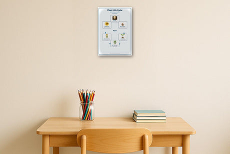 3-Pack Life Cycles Starter Educational Posters Set - A4 Matte Laminated Prints (210x297mm)