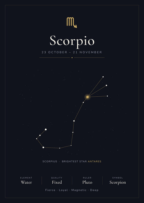 Scorpio Zodiac Constellation Black: A4 Matte Laminated Educational Poster Print - 210x297mm