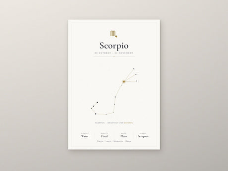 Scorpio Zodiac Constellation White: A4 Matte Laminated Educational Poster Print - 210x297mm