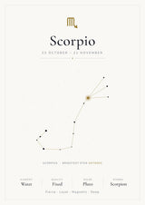 Scorpio Zodiac Constellation White: A4 Matte Laminated Educational Poster Print - 210x297mm
