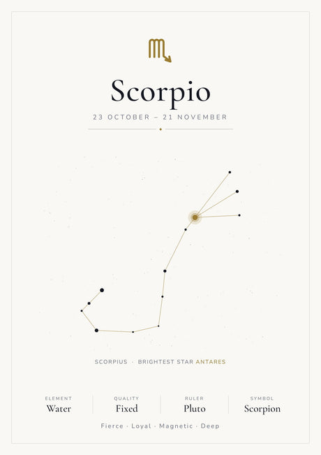 12-Pack Zodiac Constellations Educational Posters Set - White A4 Matte Laminated Prints (210x297mm)