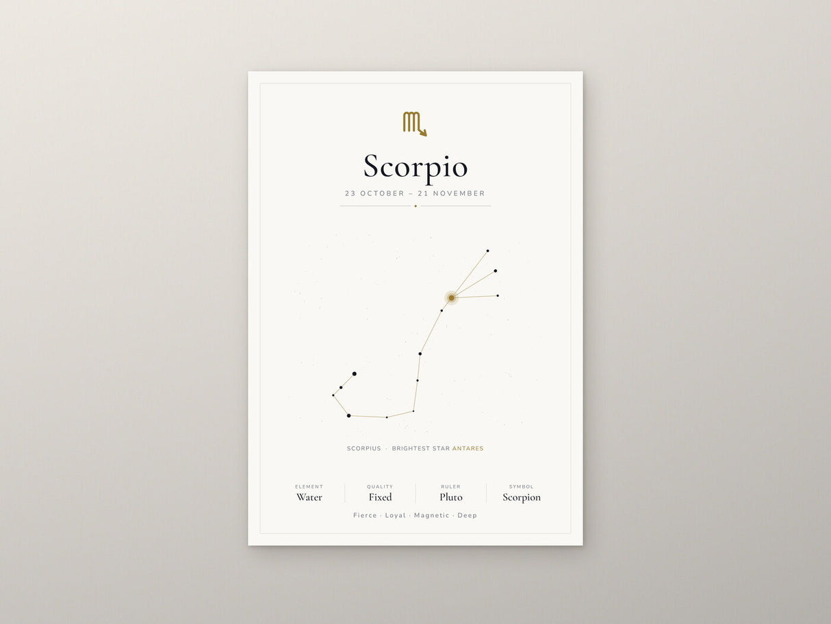 Scorpio Zodiac Constellation White: A4 Matte Laminated Educational Poster Print - 210x297mm