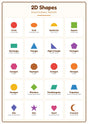 2D Shapes: A4 Matte Laminated Educational Poster Print - 210x297mm