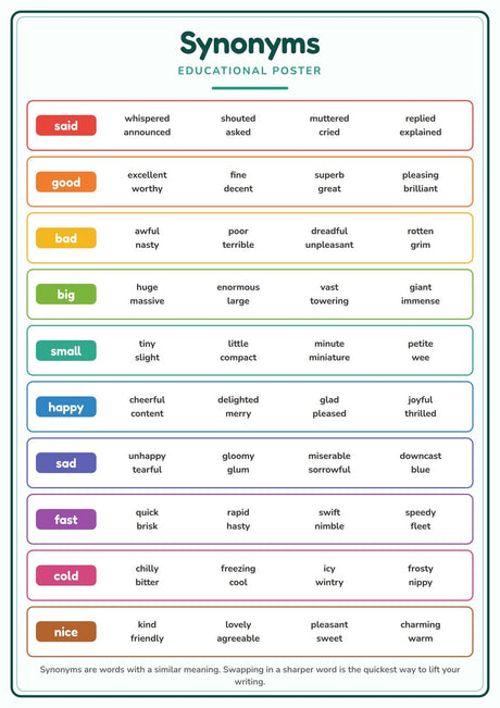 Synonyms: A4 Matte Laminated Educational Poster Print - 210x297mm
