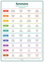 Synonyms: A4 Matte Laminated Educational Poster Print - 210x297mm