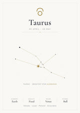 Taurus Zodiac Constellation White: A4 Matte Laminated Educational Poster Print - 210x297mm